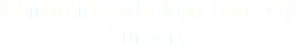 Chirurgia andrologica in Day Surgery